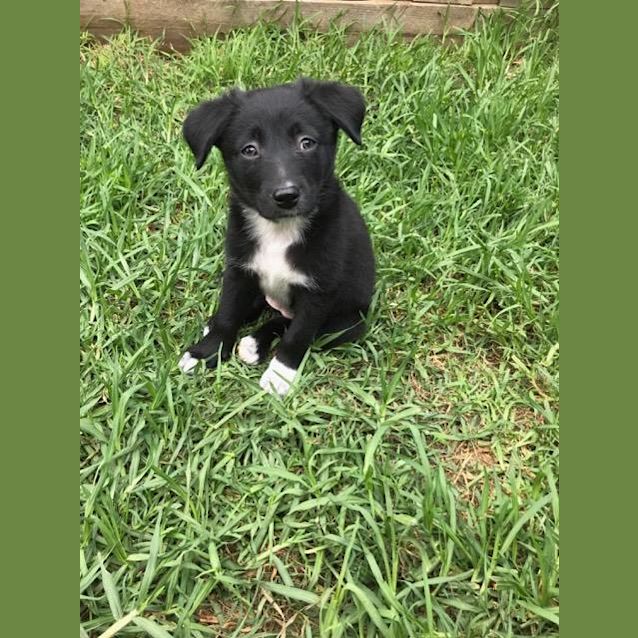 Photo of Molly