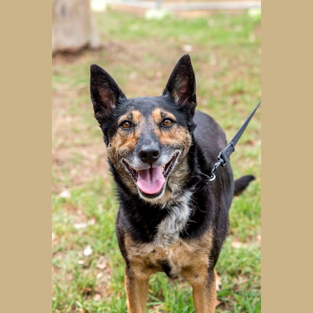Photo of Roxy