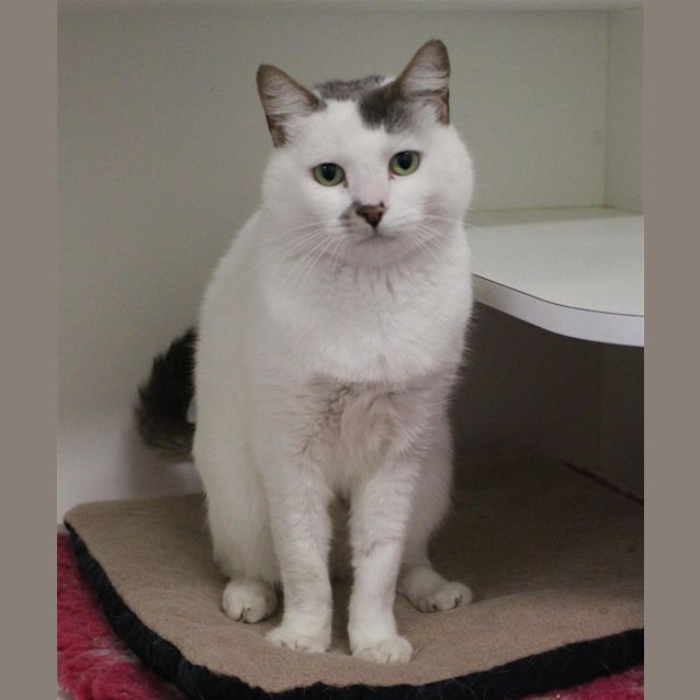Photo of Duchess