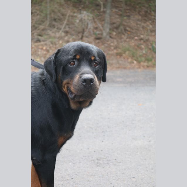 Photo of Hercules
