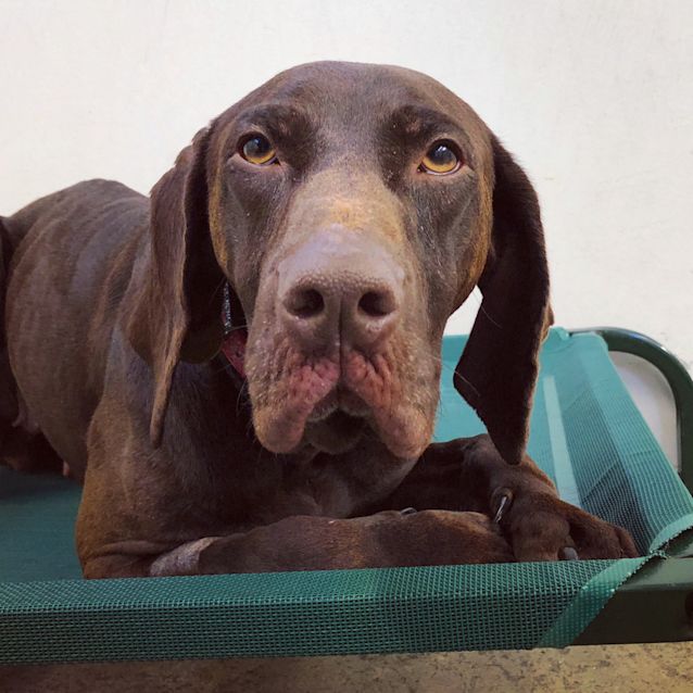 Photo of Roxie