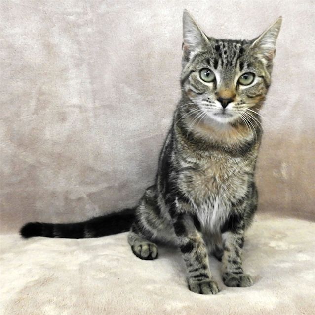 Photo of Tabitha