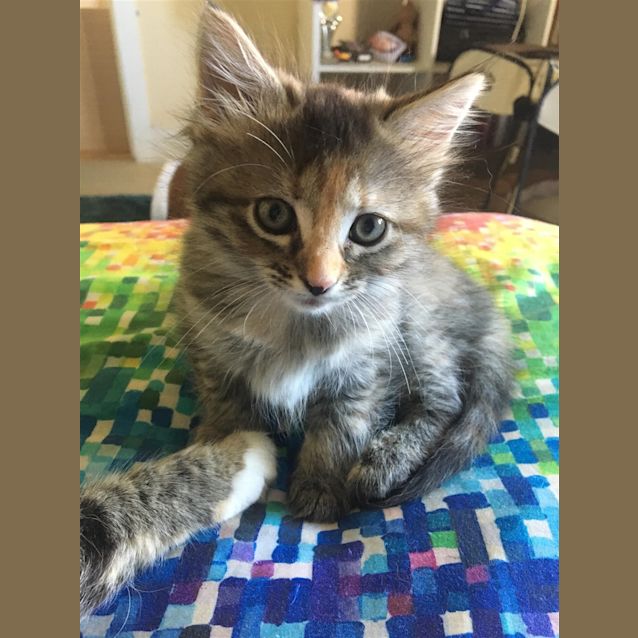 Photo of Lily