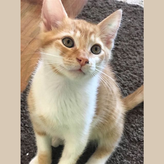 Photo of Timmy