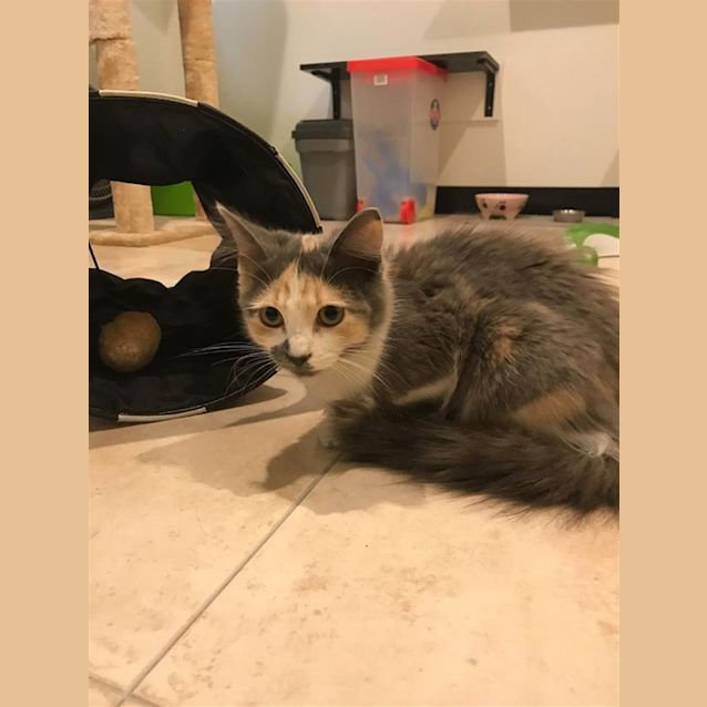 Photo of Felicity