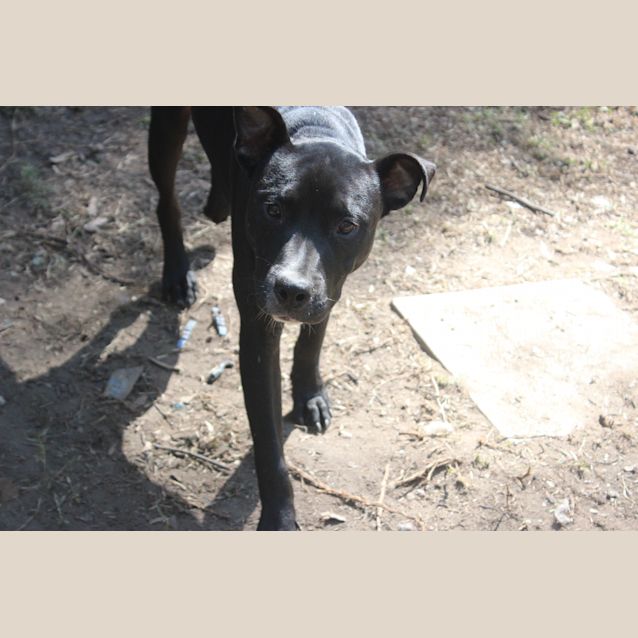 Photo of Spike