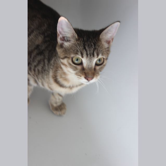 Photo of Ripley