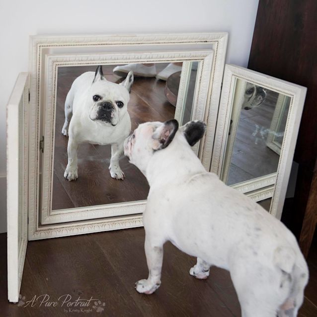 Photo of Winston