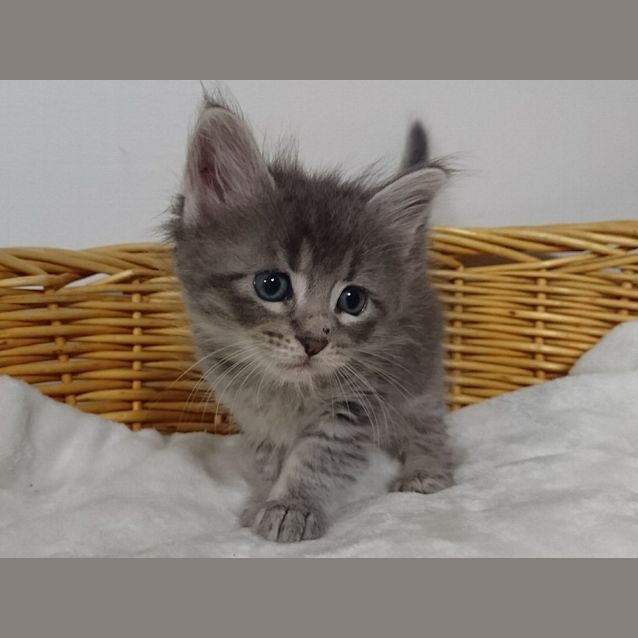 Photo of Ernie
