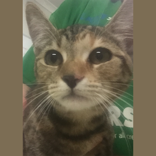 Photo of Alissa
