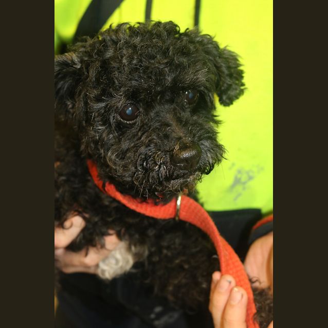 Photo of Molly