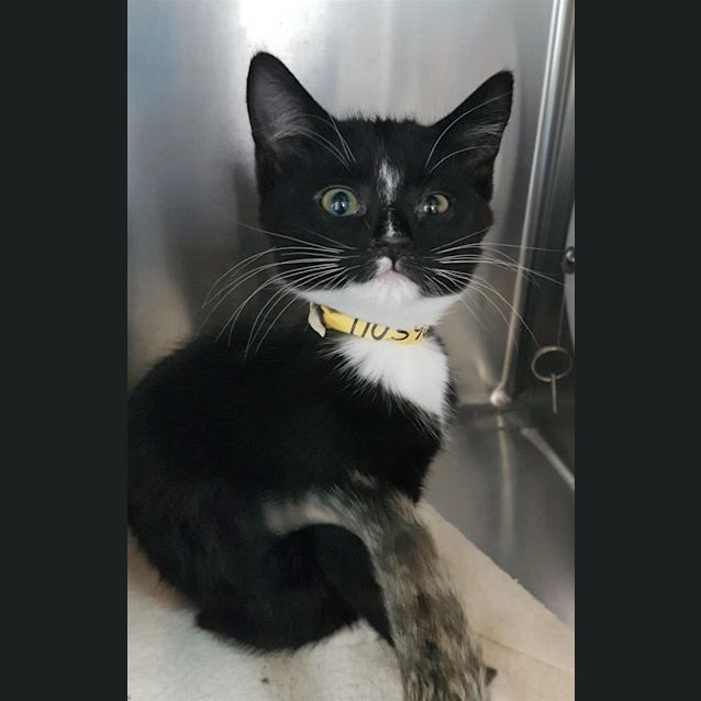Photo of Maggie
