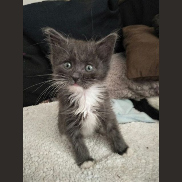 Photo of Lala