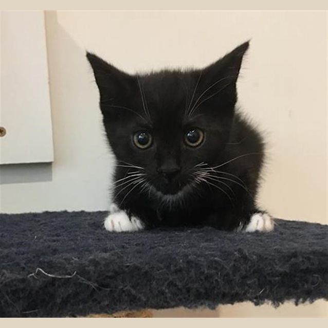 Photo of Penelope