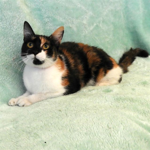 Photo of Polly