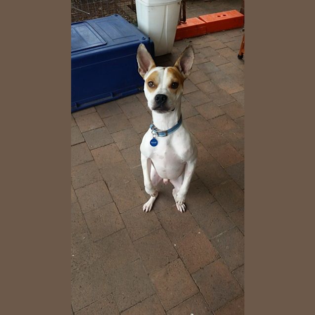 Photo of Nickel