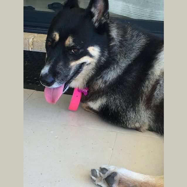 Photo of Keisha Dl1840