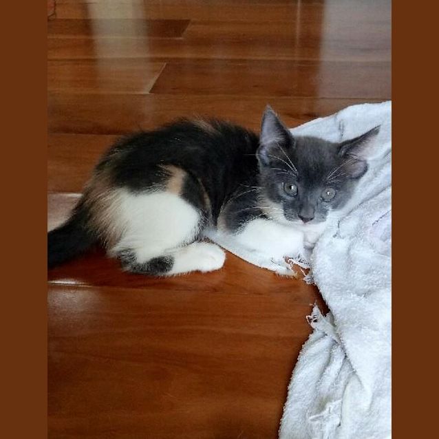 Photo of Masky