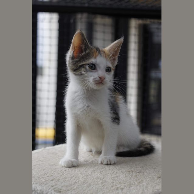 Photo of Arya