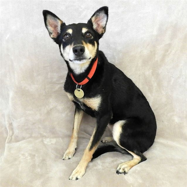 Photo of Sasha