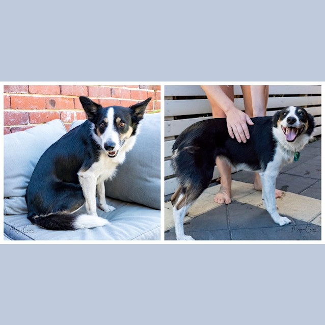Photo of Laila Cd0263