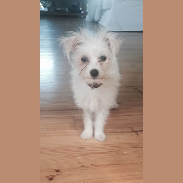 Photo of Fleur
