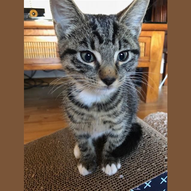 Photo of Maxine