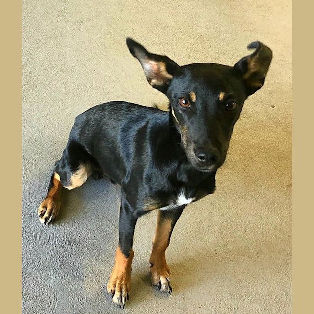 Photo of Skittles **On Trial**