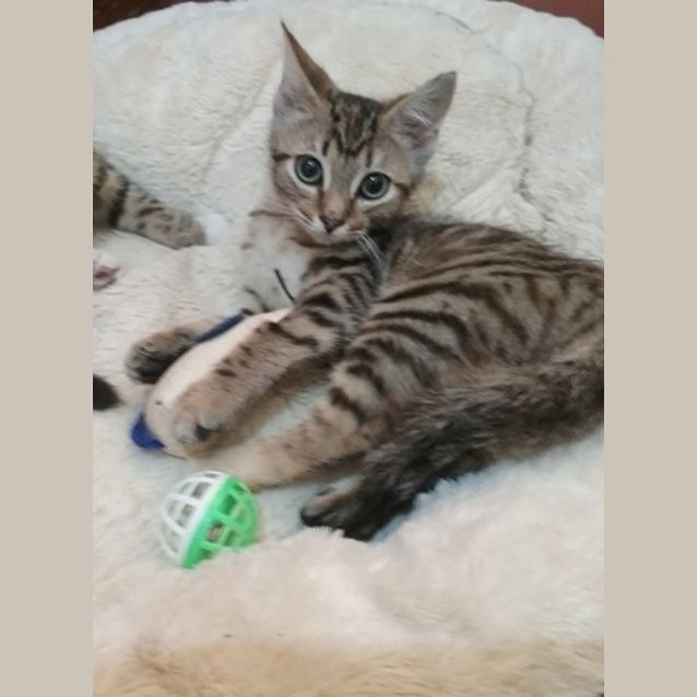 Photo of Peanut And Jelly 