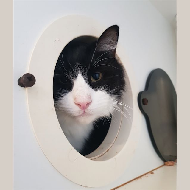 Photo of Whitey