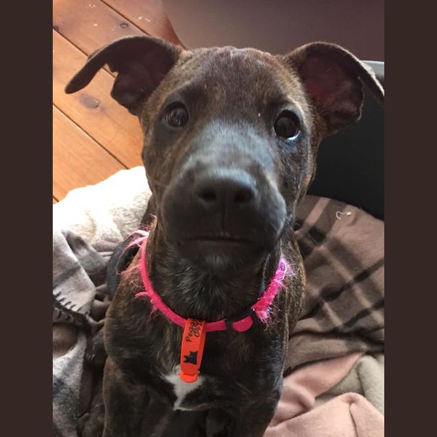 Photo of Betty