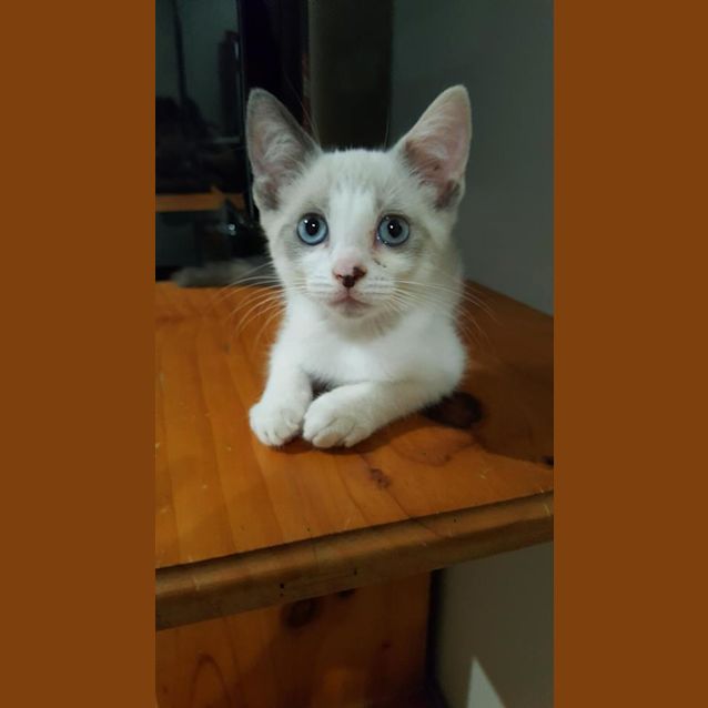 Photo of Sandy 
