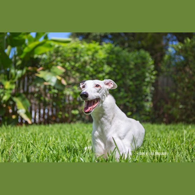 Photo of Blossom And Shannon