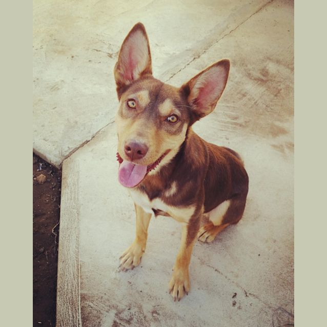 Photo of Mick **On Trial**