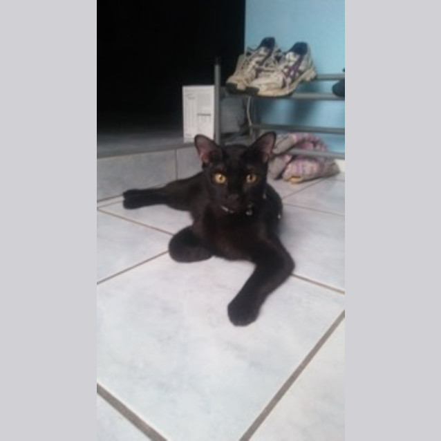 Photo of Eli