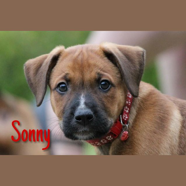 Photo of Sonny 