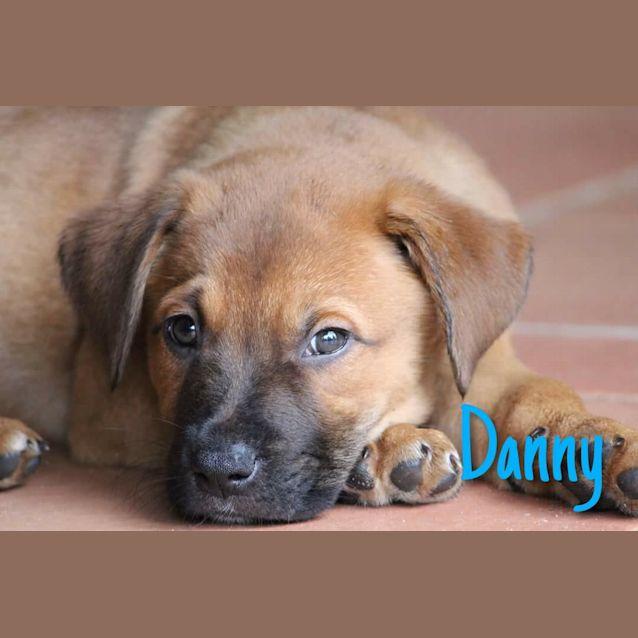 Photo of Danny 