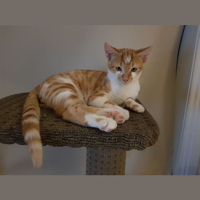 Photo of Neddy
