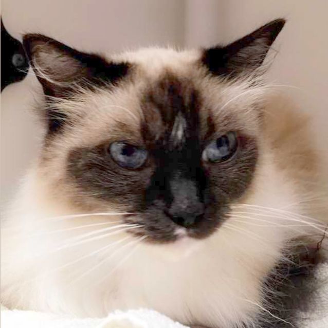Photo of Krystal