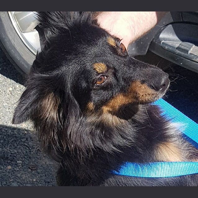 Photo of Roxy