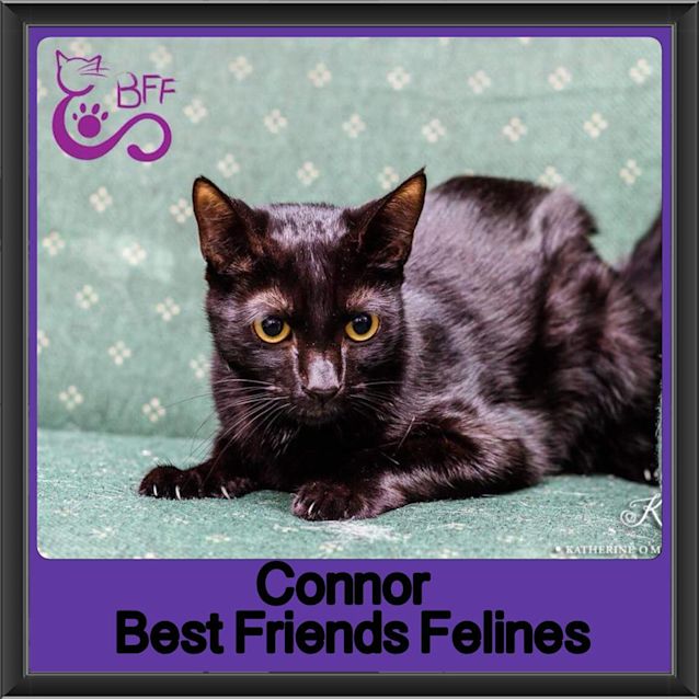 Photo of Connor 