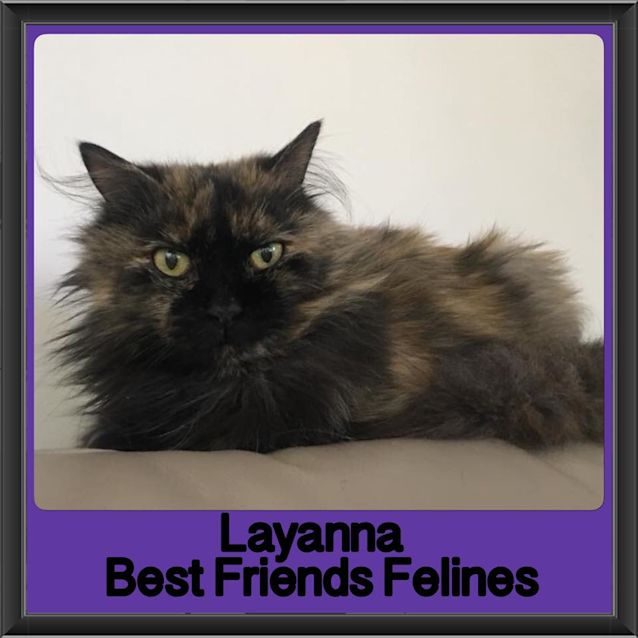 Photo of Layanna 