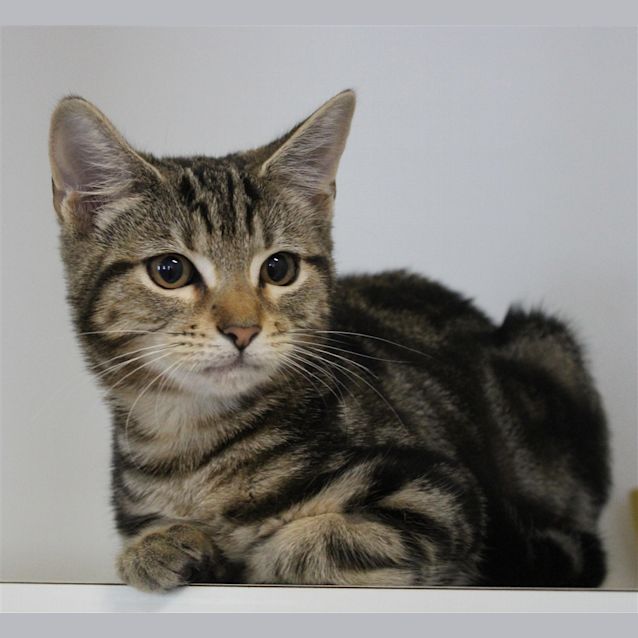 Photo of Gilly