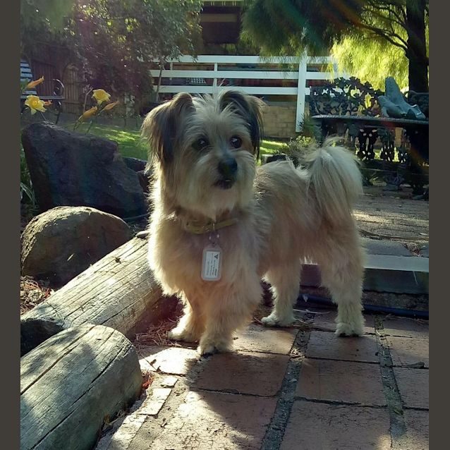 Photo of Maude