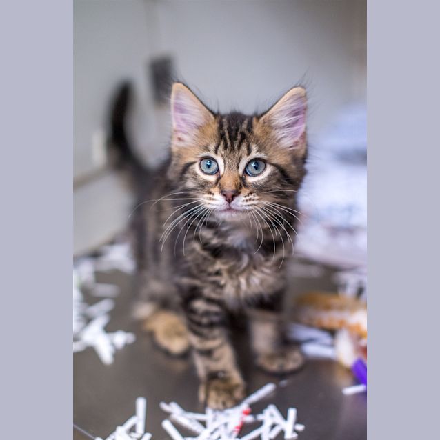 Photo of Bobbie
