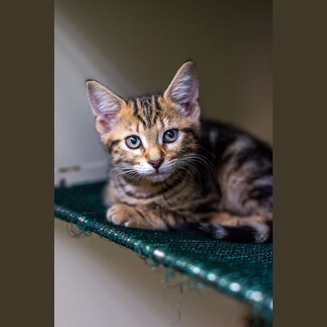 Photo of Maizie