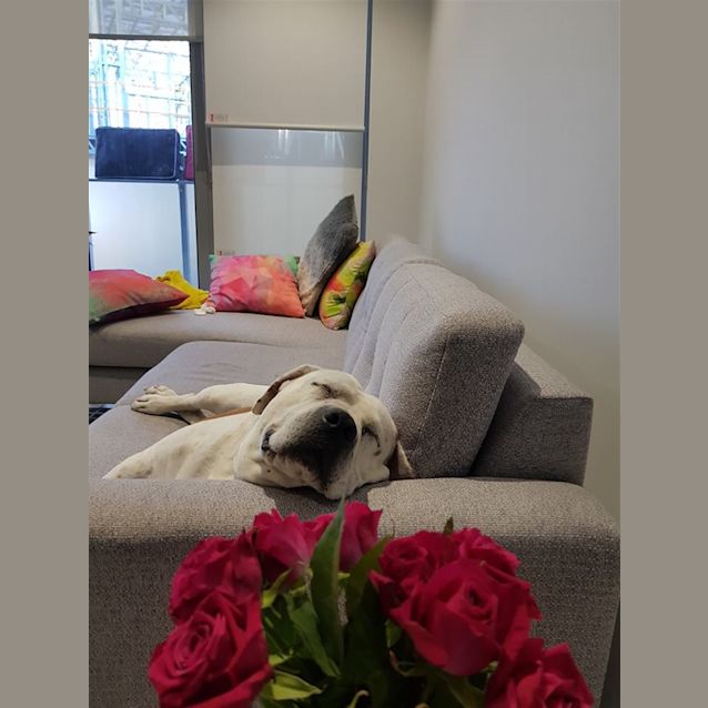 Photo of Mia 
