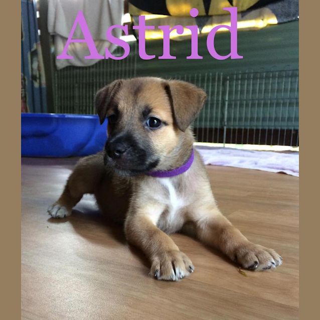 Photo of Astrid 