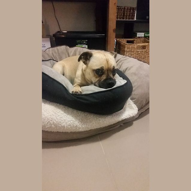 Photo of Anxious Annie