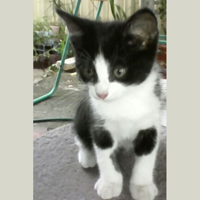 Photo of Skye